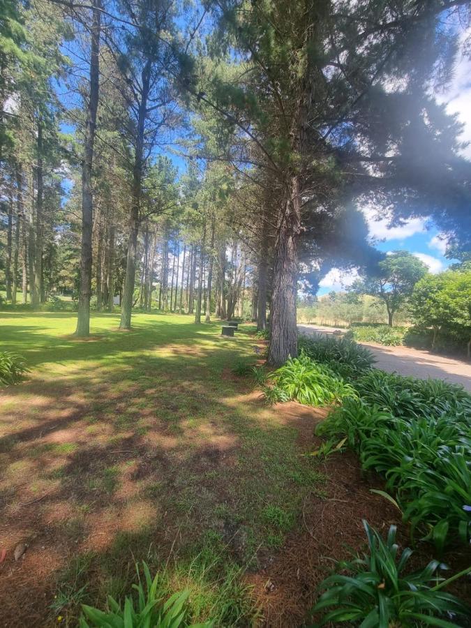 Savana Estate Poukawa Ngoại thất bức ảnh
