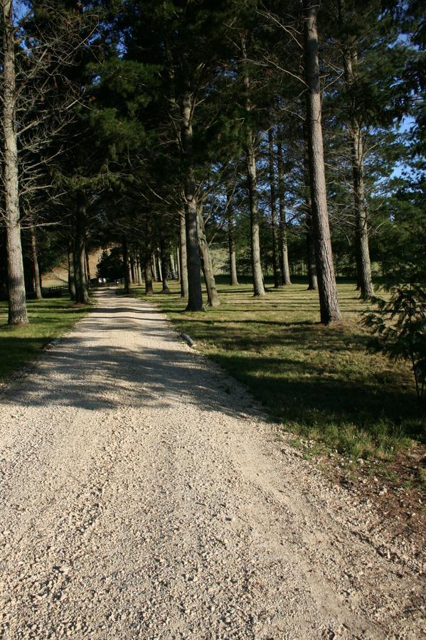 Savana Estate Poukawa Ngoại thất bức ảnh